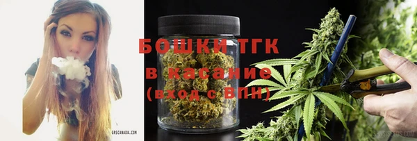 метадон Алексин