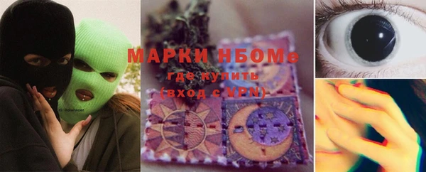 соль ск Алзамай