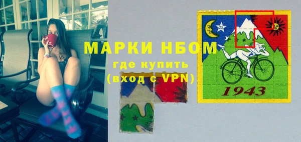 метадон Алексин